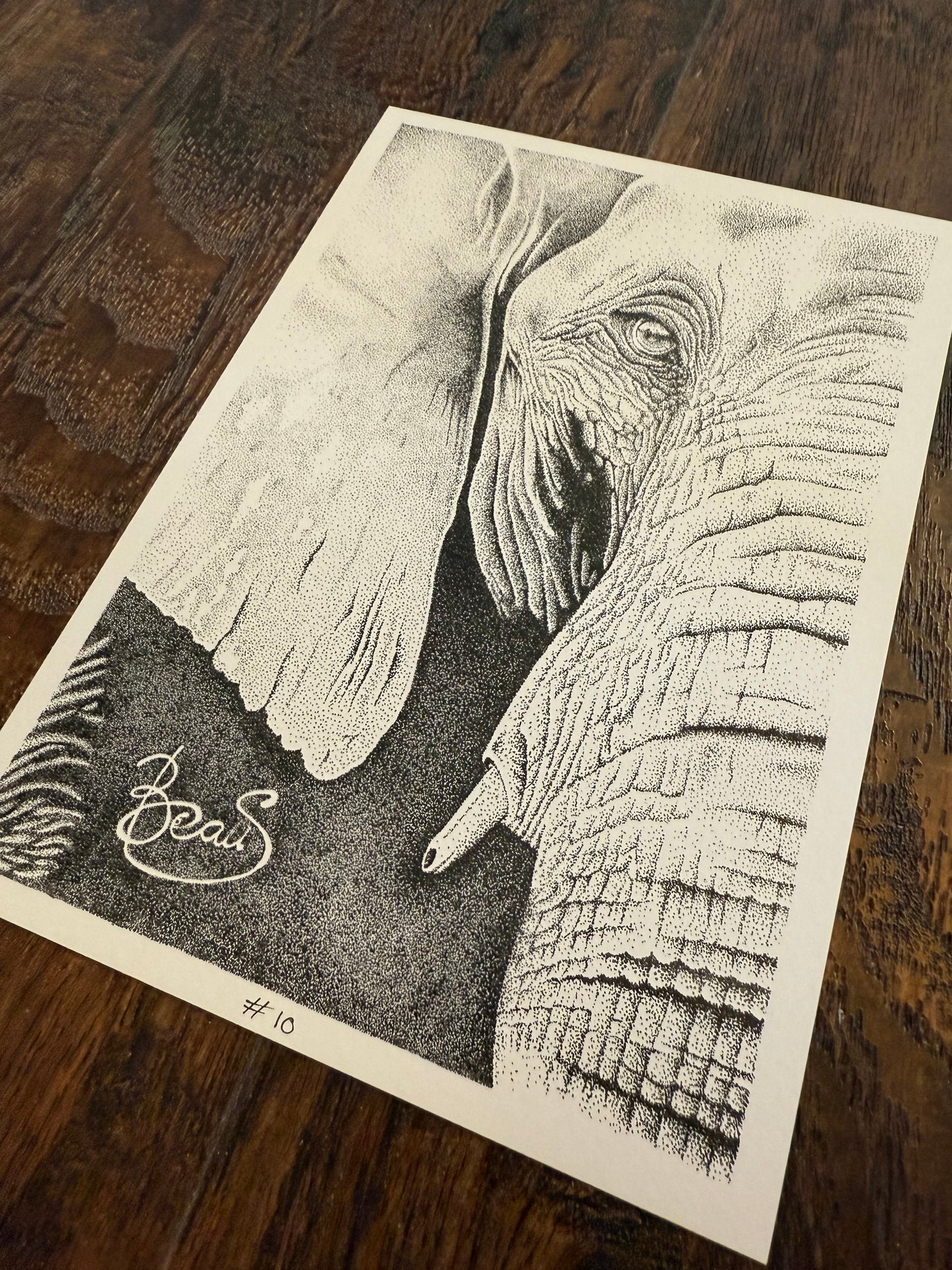 Portret van Olifant (Limited kopie)