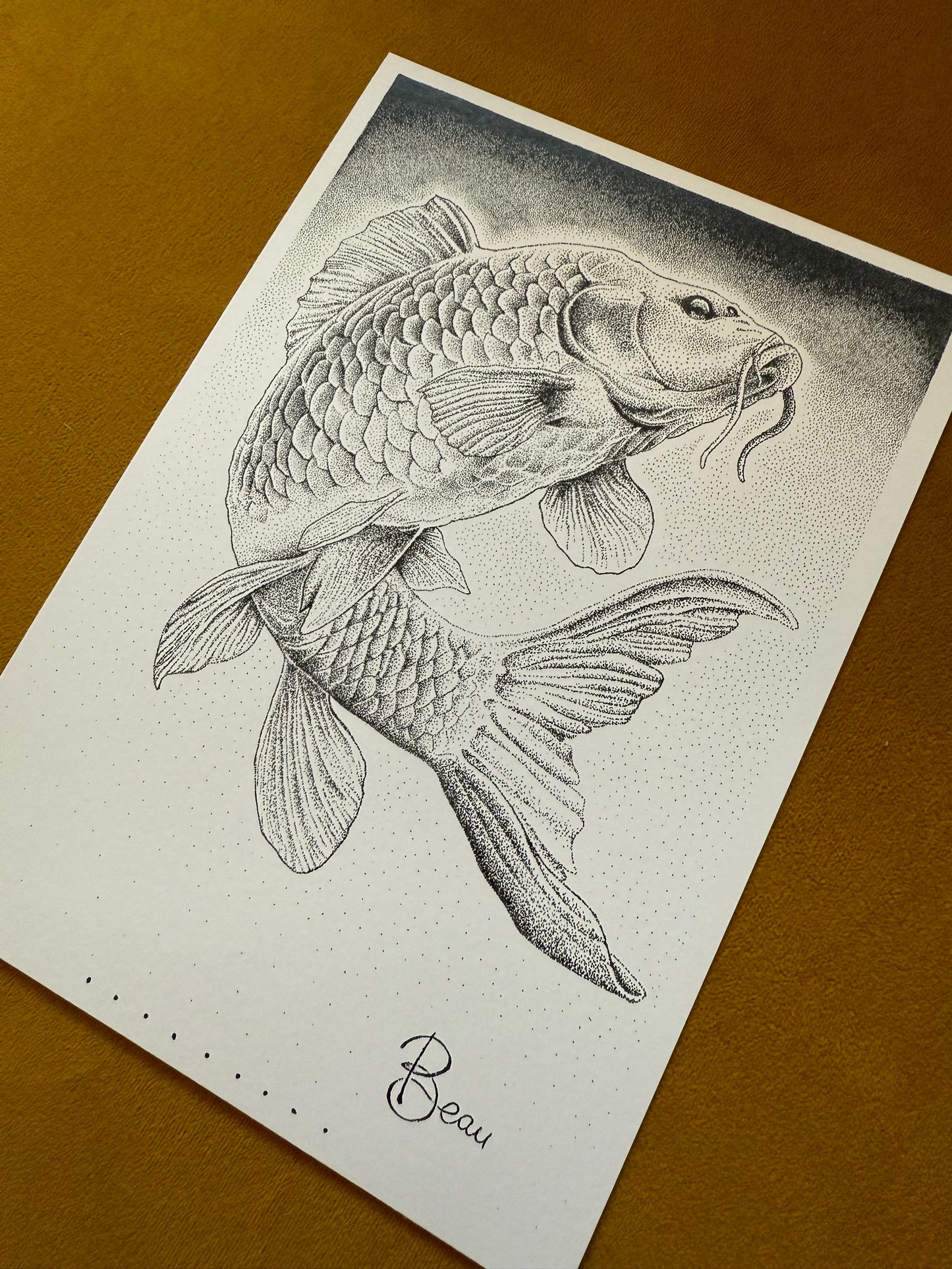 Black & White Koi Karper (Limited kopie)