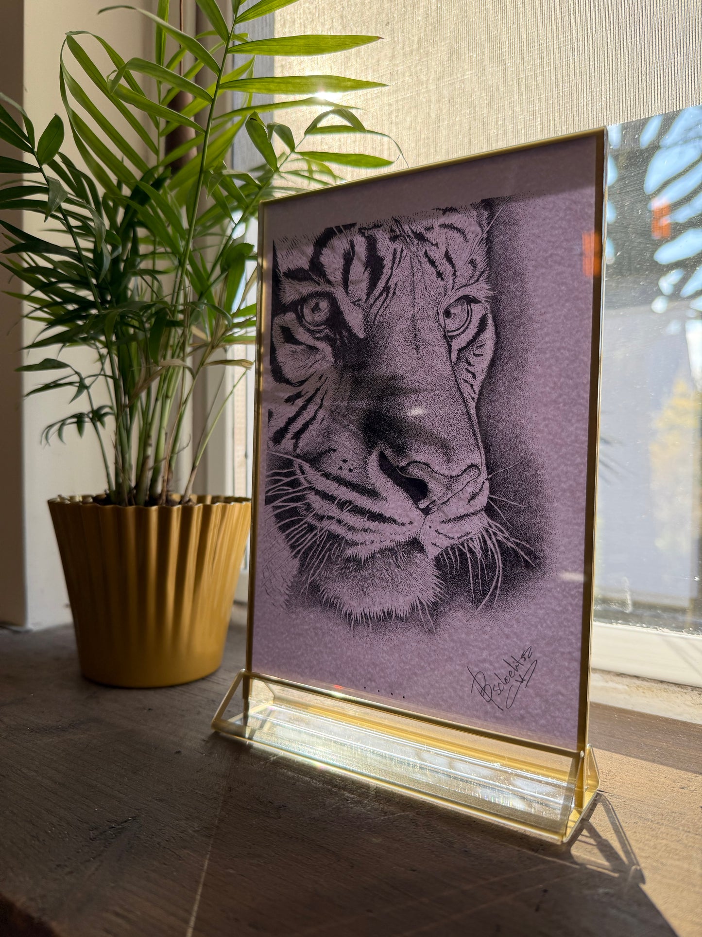 Portret van Witte Tijger (Limited kopie)