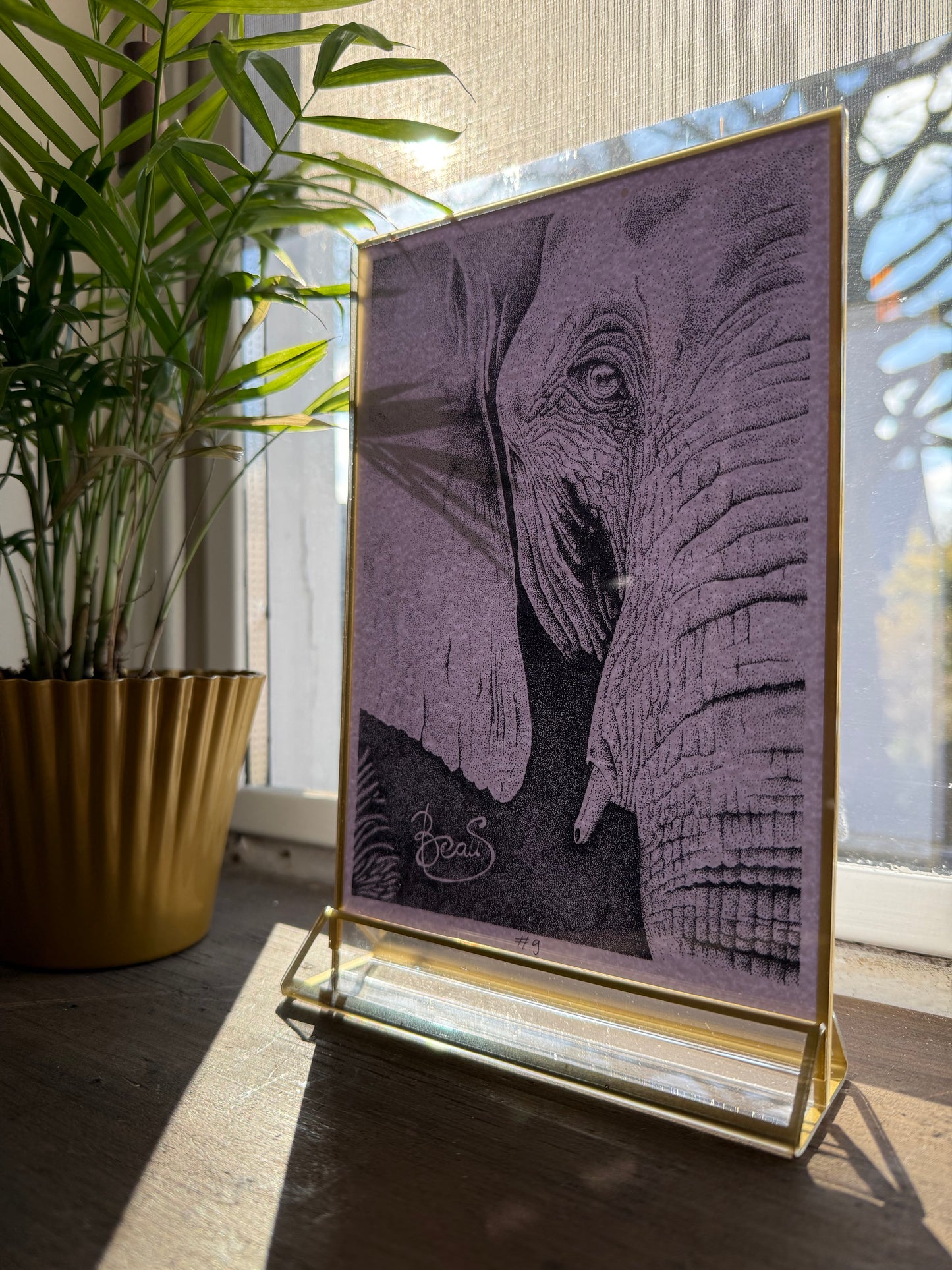 Portret van Olifant (Limited kopie)